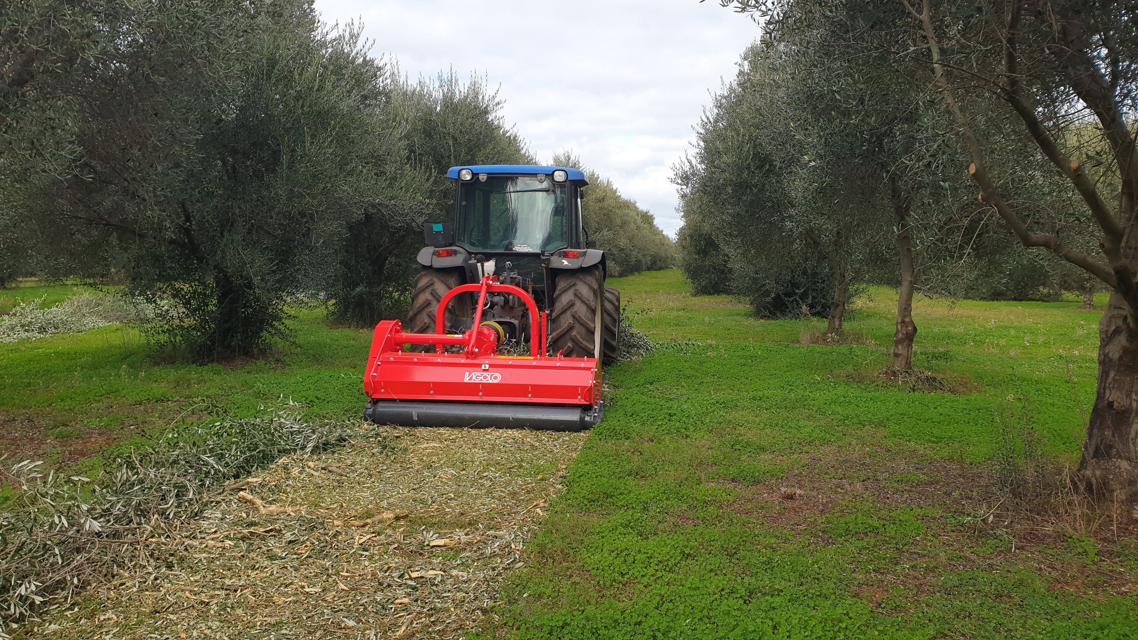 VIGOLO TSA/P LOW BODY MULCHERS