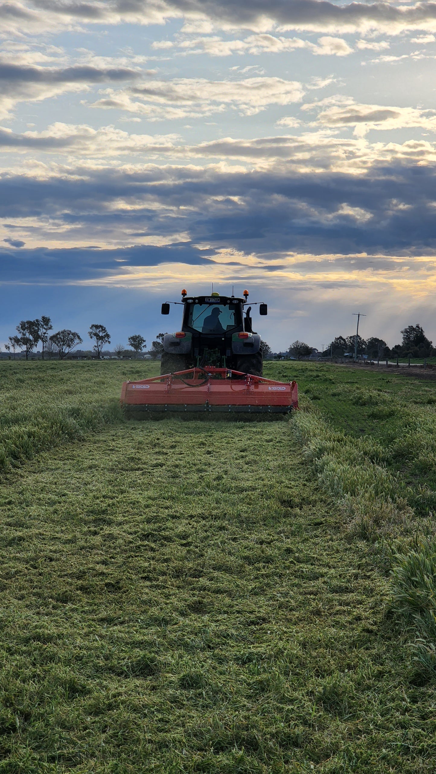 VIGOLO TDF-DT High Body Mulchers