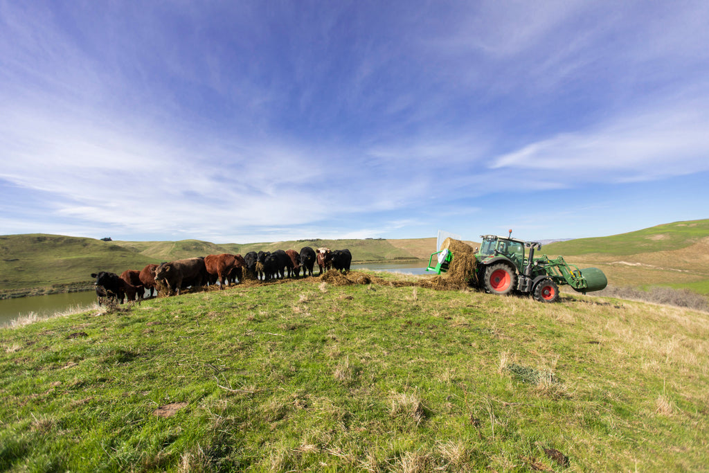 HUSTLER Mounted Chainless Bale Feeders
