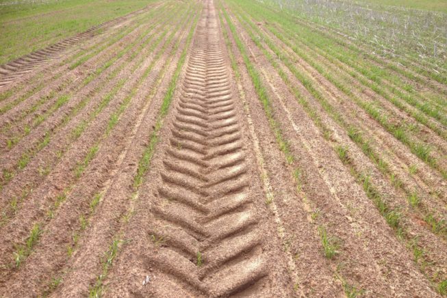 tyre tracks in field showing soil compaction